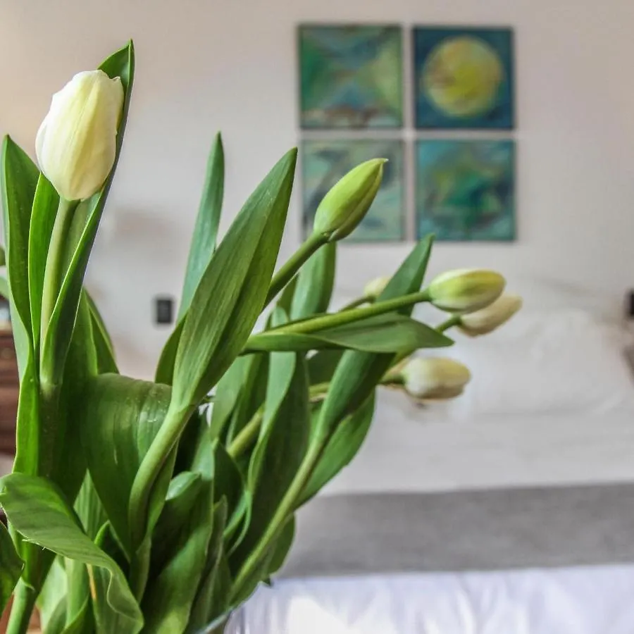La Locanda Del Pontefice - Luxury Country House Marino Italy
